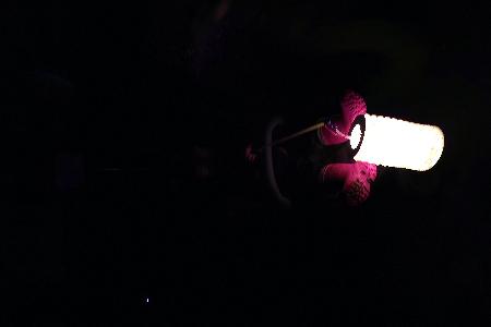 Lampiónový průvod s halloweenskou stezkou 2024