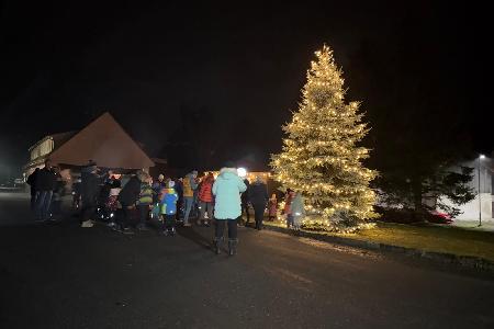 Rozsvícení stromečku