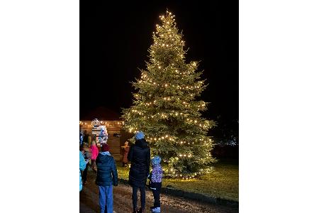 Rozsvícení stromečku